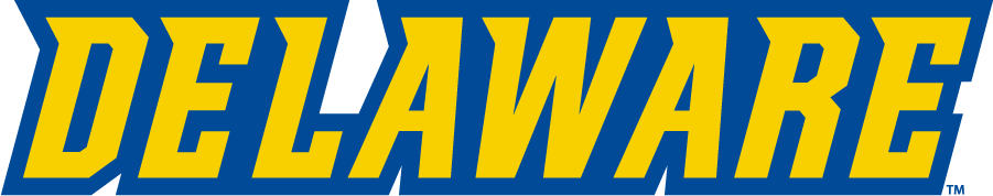Delaware Blue Hens 2016-2018 Wordmark Logo iron on transfers for T-shirts